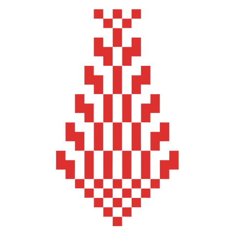 Sarwa / Cypress Tree Hebron (7) | سروة الخليل