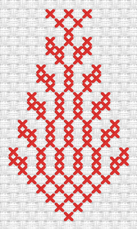 Sarwa / Cypress Tree Hebron (7) | سروة الخليل