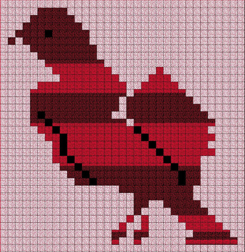 Shakla Al Tayr / Bird (3) | شكْلَة الطير