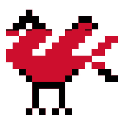 Shakla Al Tayr / Bird (24) | شكـله الطير