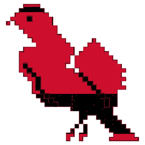 Shakla Al Tayr / Bird (3) | شكْلَة الطير