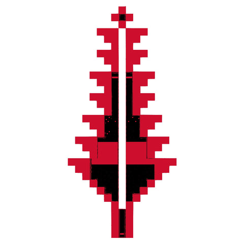 Sarwa / Cypress Tree Ramallah (13) | سروة رام الله