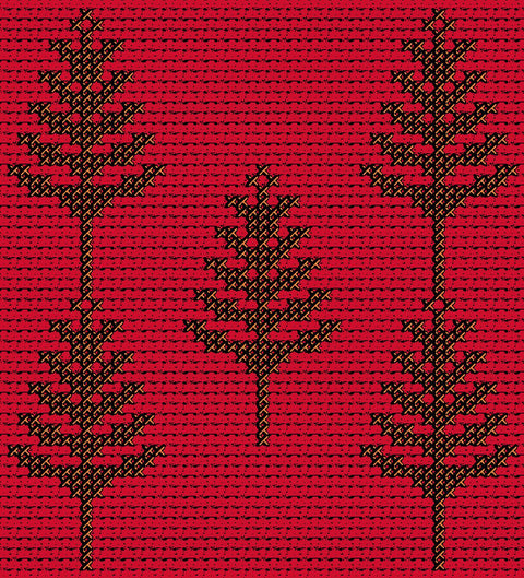 Sarwa / Cypress Tree Hebron (13) | سروة الخليل