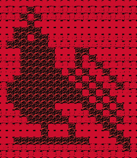 Shakla Al Tayr / Bird (2) | شكله الطير