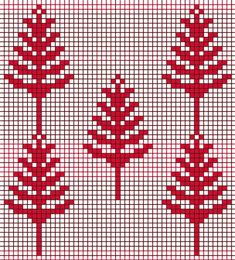 Sarwa / Cypress Tree Hebron (13) | سروة الخليل