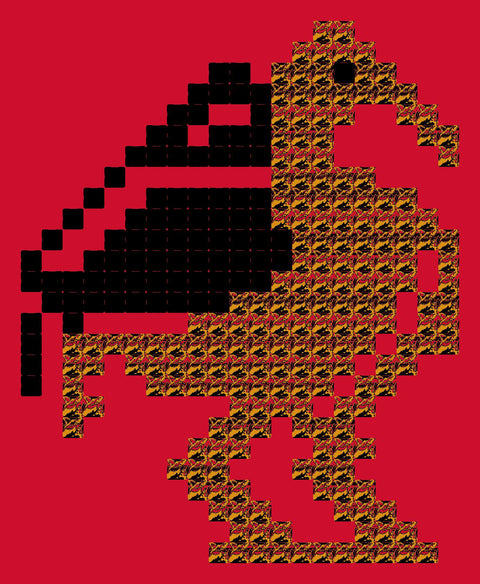 Shakla Al Tayr / Bird (16) | شكله الطير