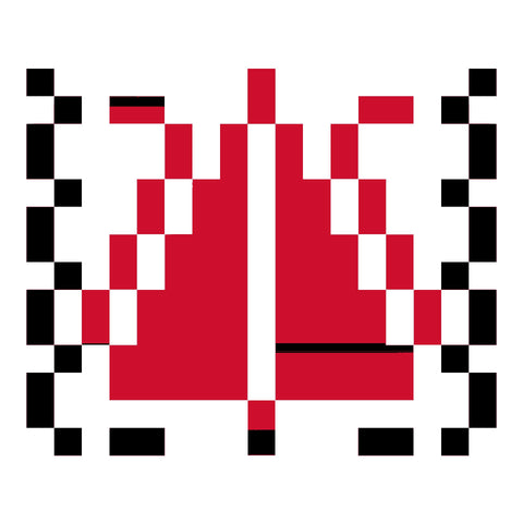 Sarwa / Cypress Tree Ramallah (16) | سروة رام الله