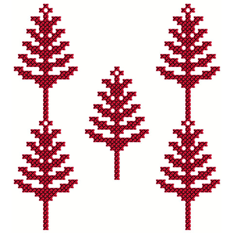 Sarwa / Cypress Tree Hebron (13) | سروة الخليل