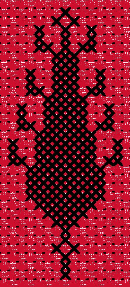 Sarwa / Cypress Tree Ramallah (11) | سروة رام الله