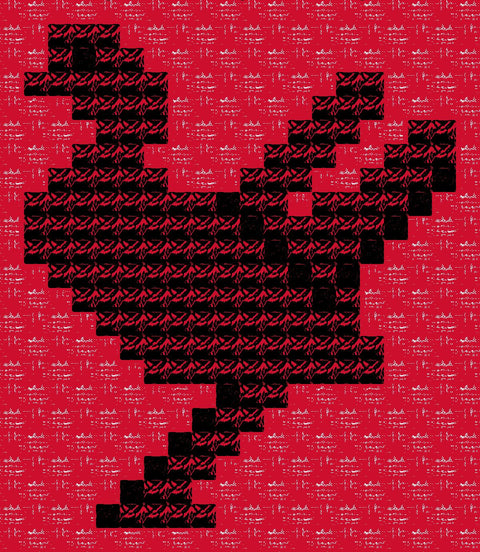 Shakla Al Tayr / Bird (23) | شكله الطير