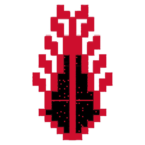 Sarwa / Cypress Tree Hebron (8) | سروة الخليل