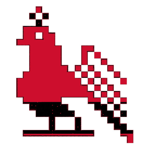 Shakla Al Tayr / Bird (2) | شكله الطير