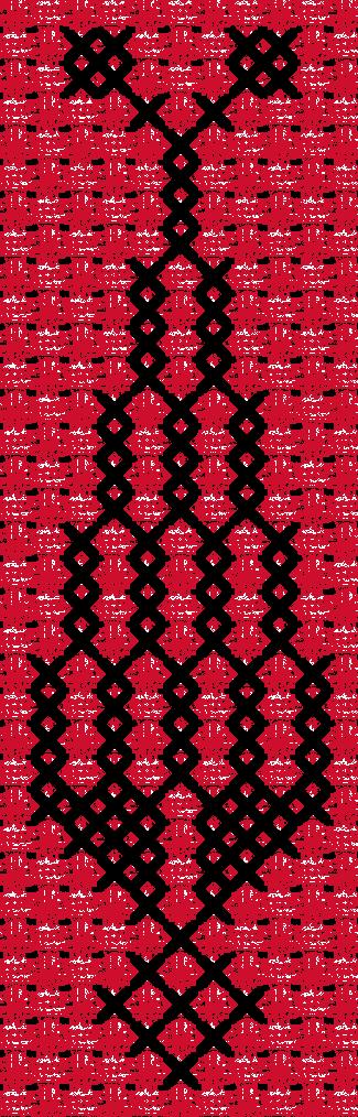 Sarwa / Cypress Tree Ramallah (4) | سروة رام الله