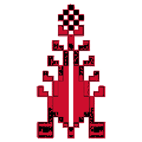 Sarwa / Cypress Tree Ashdod (1) | سروة أسدود