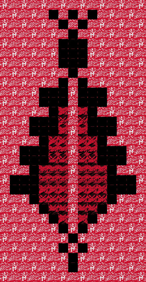 Sarwa / Cypress Tree Hebron (10) | سروة الخليل