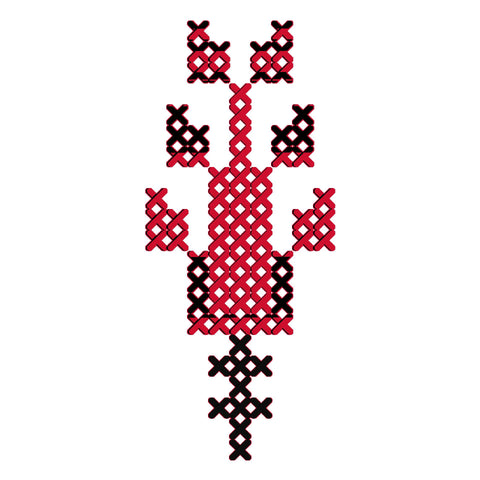 Sarwa / Cypress Tree Hebron (6) | سروة الخليل