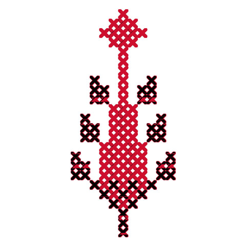 Sarwa / Cypress Tree Ramallah (6) | سروة رام الله