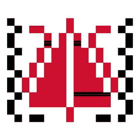 Sarwa / Cypress Tree Ramallah (16) | سروة رام الله