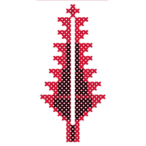 Sarwa / Cypress Tree Ramallah (13) | سروة رام الله