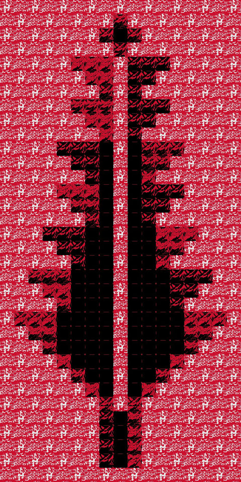 Sarwa / Cypress Tree Ramallah (13) | سروة رام الله