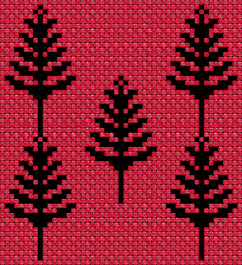 Sarwa / Cypress Tree Hebron (13) | سروة الخليل