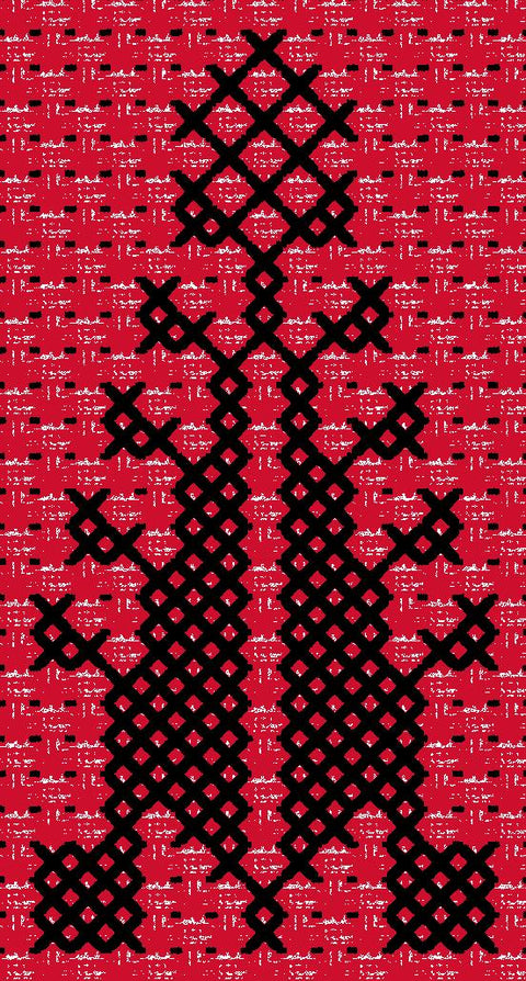 Sarwa / Cypress Tree Ashdod (1) | سروة أسدود