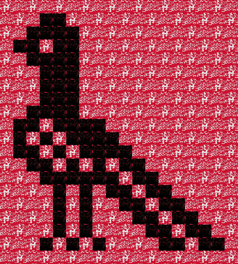 Hamama / Pigeon (1) | حمامة