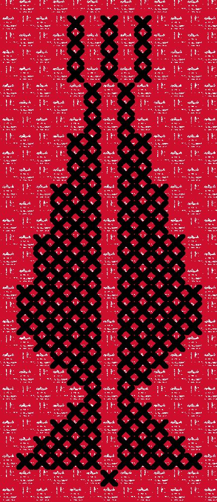 Sarwa / Cypress Tree Ramallah (5) | سروة رام الله