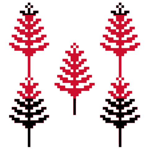 Sarwa / Cypress Tree Hebron (13) | سروة الخليل