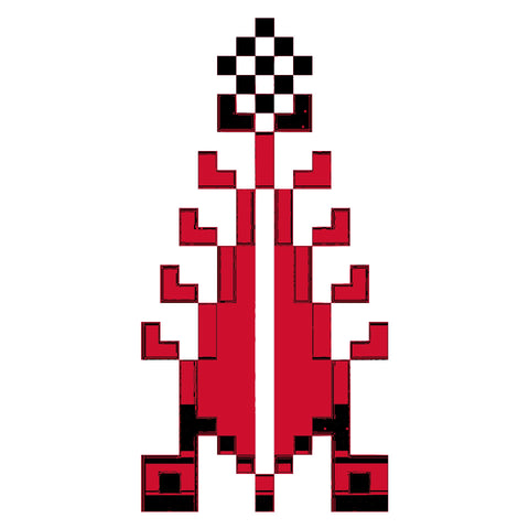 Sarwa / Cypress Tree Ashdod (1) | سروة أسدود