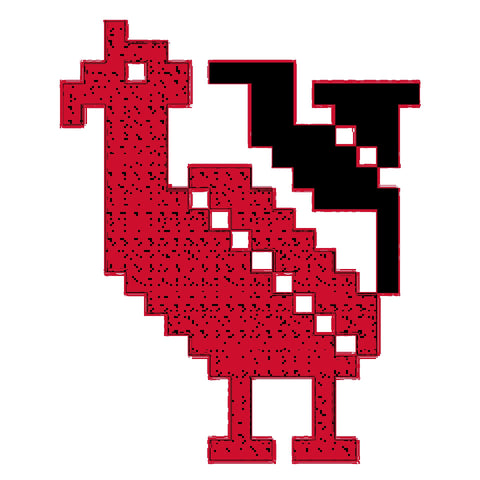 Shakla Al Tayr / Bird (6) | شكْلَة الطير