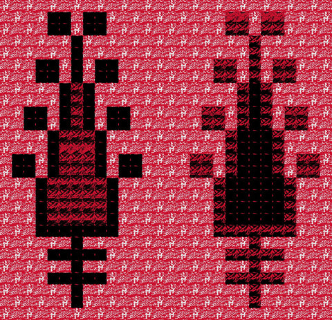 Sarwa / Cypress Tree Ramallah (14) | سروة رام الله