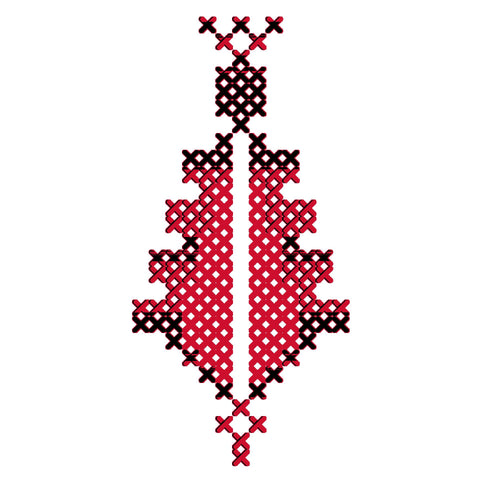 Sarwa / Cypress Tree Hebron (10) | سروة الخليل