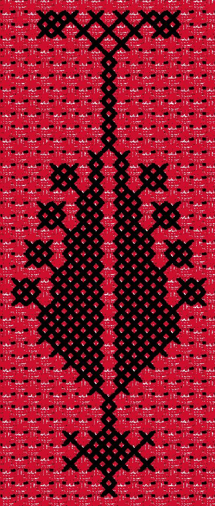 Sarwa / Cypress Tree Hebron (2) | سروة الخليل