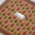 Cypress Plexi Canvas-Rectangle Box